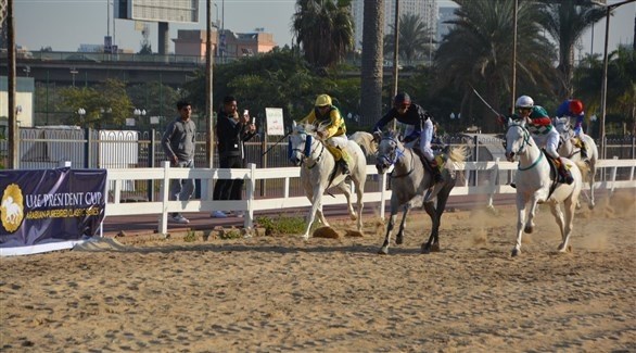 مصر تحتضن كأس رئيس الدولة للخيول العربية