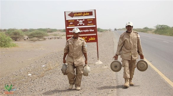 الجيش اليمني ومشروع "مسام" يحملون الألغام المنزوعة (أرشيف)
