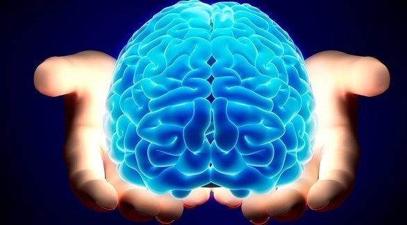 باحثون يكشف الجزء المسؤول عن إدراك الزمن في المُخ