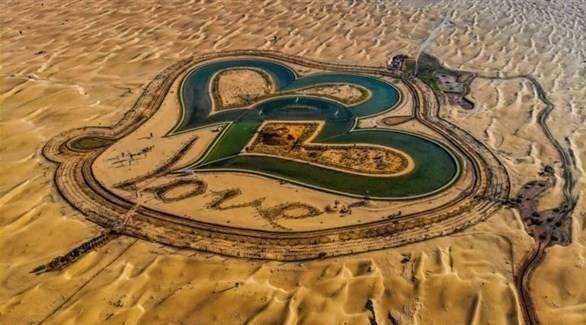    بحيرة الحب.. لوحة فنية تزين صحراء دبي