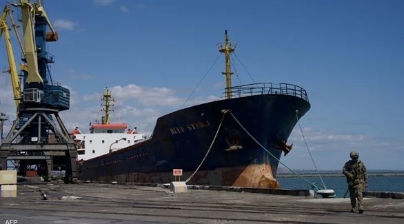 سفينة شحن في ميناء ماريوبول (أرشيف)