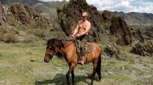 الرئيس الروسي فلاديمير بوتين عاري الصدر فوق حصان (أرشيف)