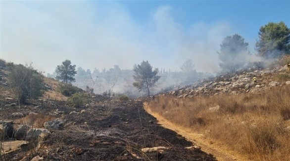 صورة للحريق في محيط موقع عسكري إسرائيلي (تويتر)