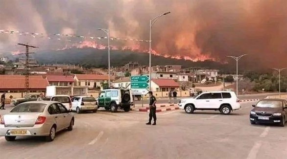 دركي جزائري في مدينة الطارف ينظم حركة السير للهرب من الحرائق المحيطية بالمدينة (الشروق الجزائرية) 