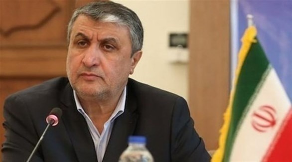  رئيس منظمة الطاقة الذرية الايرانية محمد إسلامي (أرشيف)