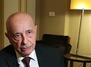 صالح يبحث في القاهرة جهود تسوية الأزمة الليبية