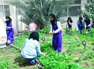 بعد الإمارات منذ 2018 يونسكو تدعو إلى تعميم المدارس الخضراء 