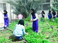 بعد الإمارات منذ 2018 يونسكو تدعو إلى تعميم المدارس الخضراء 