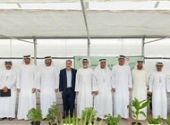 جامعة الإمارات تدشن "الصوبة الزجاجية للأبحاث البيئية"