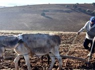 تباطؤ نمو اقتصاد المغرب بسبب الجفاف وحرب أوكرانيا