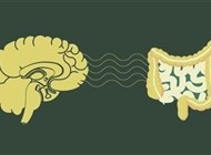 تغيير استجابة الدماغ علاج فعال لمتلازمة القولون العصبي