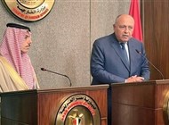 اتفاق سعودي مصري على تنسيق المواقف بشأن الأزمات الدولية
