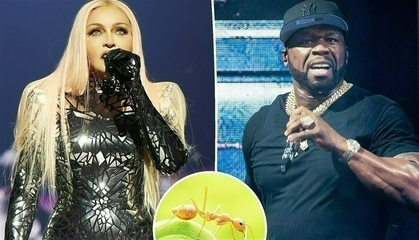 50 Cent insults Madonna and compares her to an ant