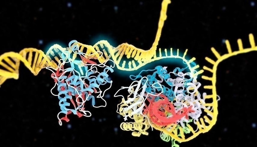 يستخدم العلاج تقنية كريسبر لتحرير الجينات