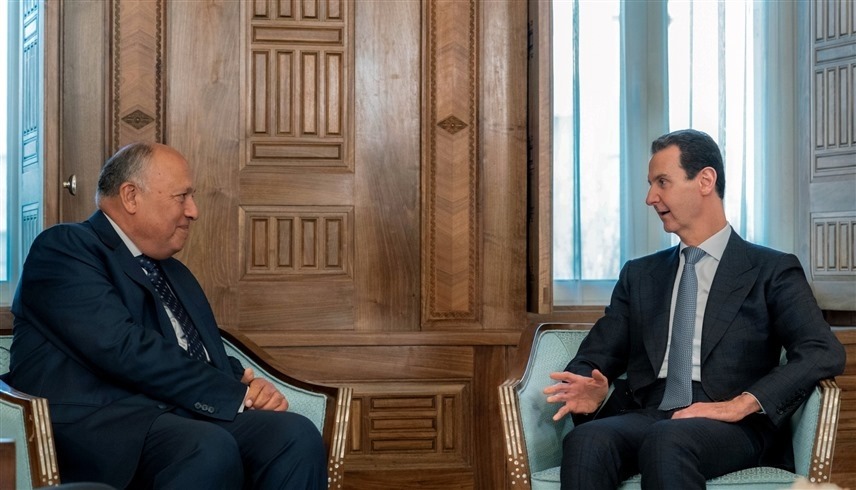 وزير الخارجية المصري سامح شكري والرئيس السوري بشار الأسد (سانا)