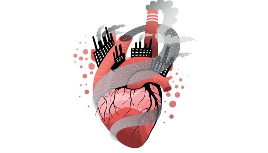 تأثير التلوث على القلب (تعبيرية)