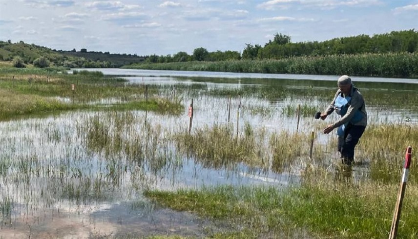 خبير نزع ألغام في أوكرانيا بعد انهيار السد (تويتر)