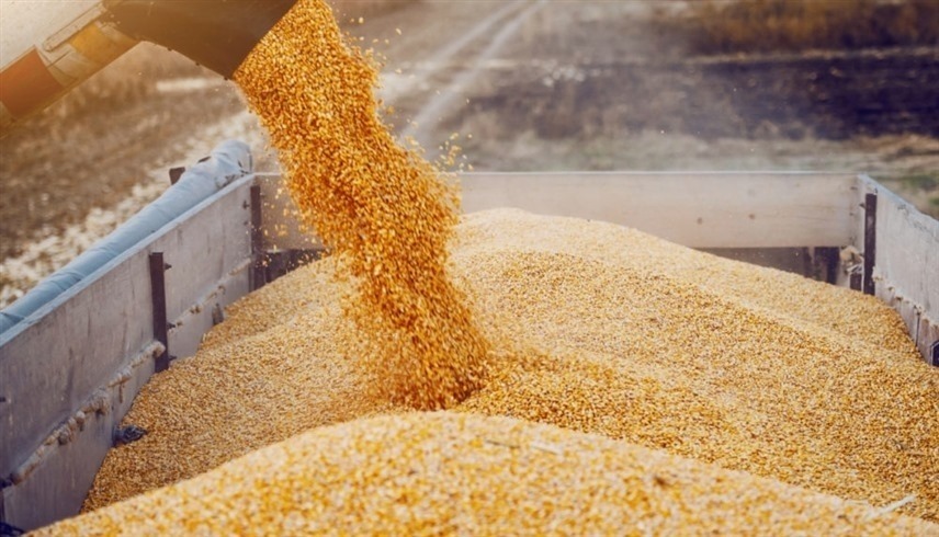 واردات الحبوب الأوكرانية (أرشيف)
