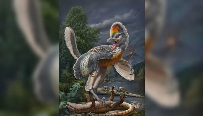 ديناصور غريب يشبه الطيور عاش في العصر الجوراسي (ساوث تشاينا مورنينغ بوست)