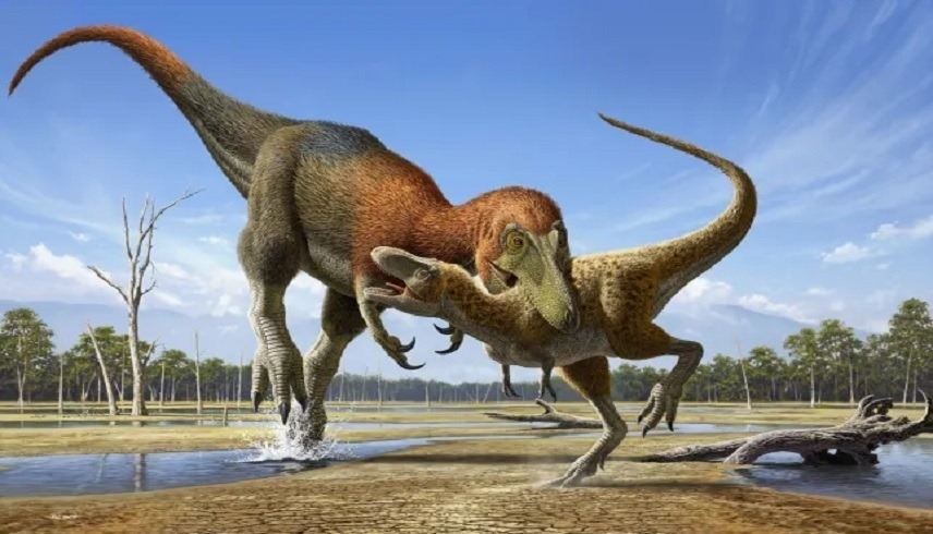 حل لغز صغير ديناصور تي ريكس بعد عقود