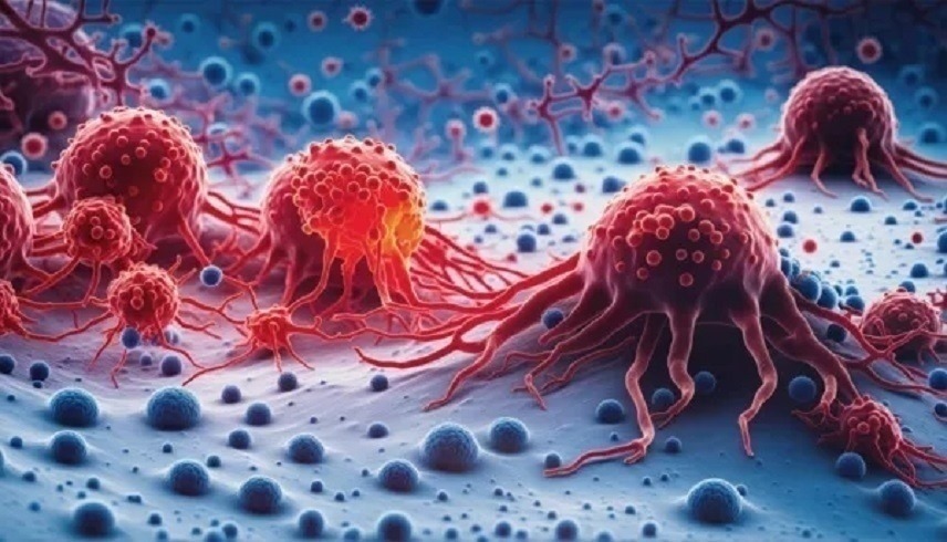 خلايا سرطانية (أرشيف)