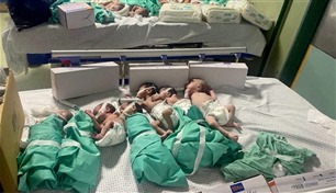 العثور على خمسة أطفال خُدّج متوفين بمستشفى في غزة