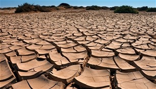 الجفاف قد يودي بحياة 135 شخصاً يومياً في الصومال