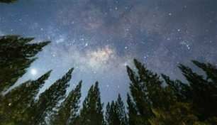 علماء يحذرون: التلوث الضوئي قد يمنع ظهور النجوم 