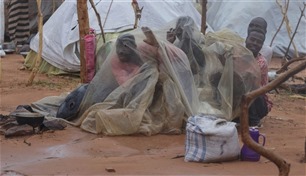 لاجئو دارفور في تشاد يسابقون الأمطار في البحث عن مأوى