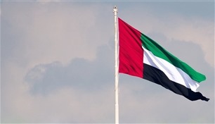 الإمارات تأسف لفشل مجلس الأمن وتطالب بوقف مذبحة غزة