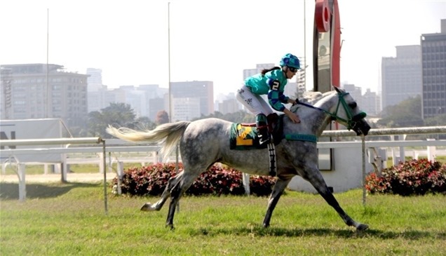 "المارد" و"نورمانديا" يتوجان بكأس الوثبة للخيول العربية في البرازيل