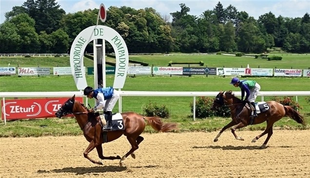 "خطر" و"أغيداري" يتوّجان بسباقي الوثبة للخيول العربية في فرنسا