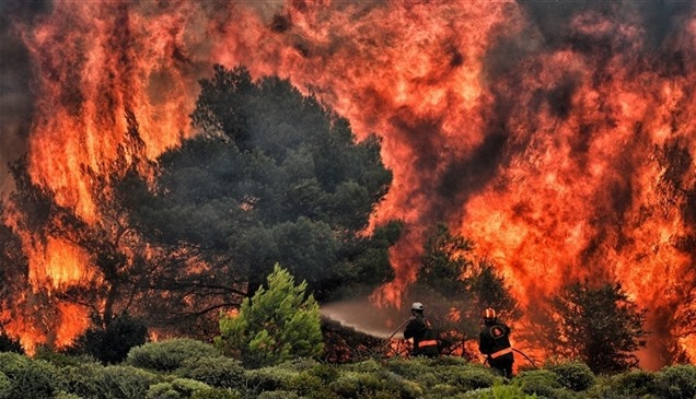 اليونان تتخذ إجراءات عاجلة للحد من حرائق الغابات