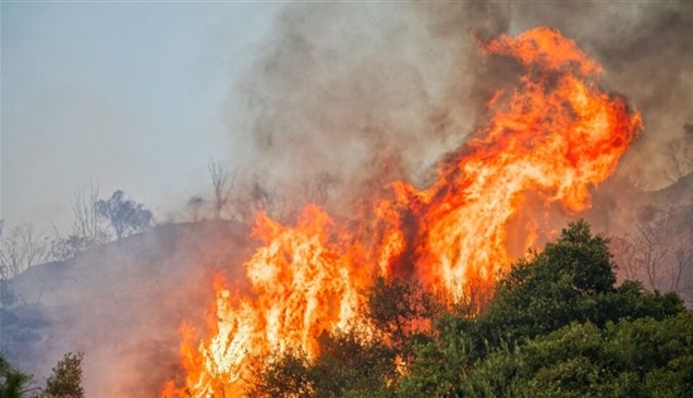 حرائق الغابات تدمر ربع منطقة "أتيكا" في اليونان