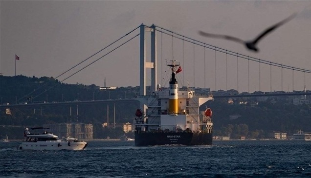 وصول سفينة "ثانية" محملة بالقمح الأوكراني إلى إسطنبول  