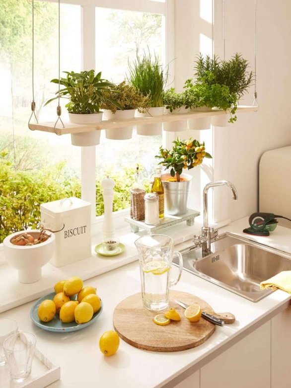 	أفكار مدهشة لحدائق أعشاب منزلية في المطبخ 7